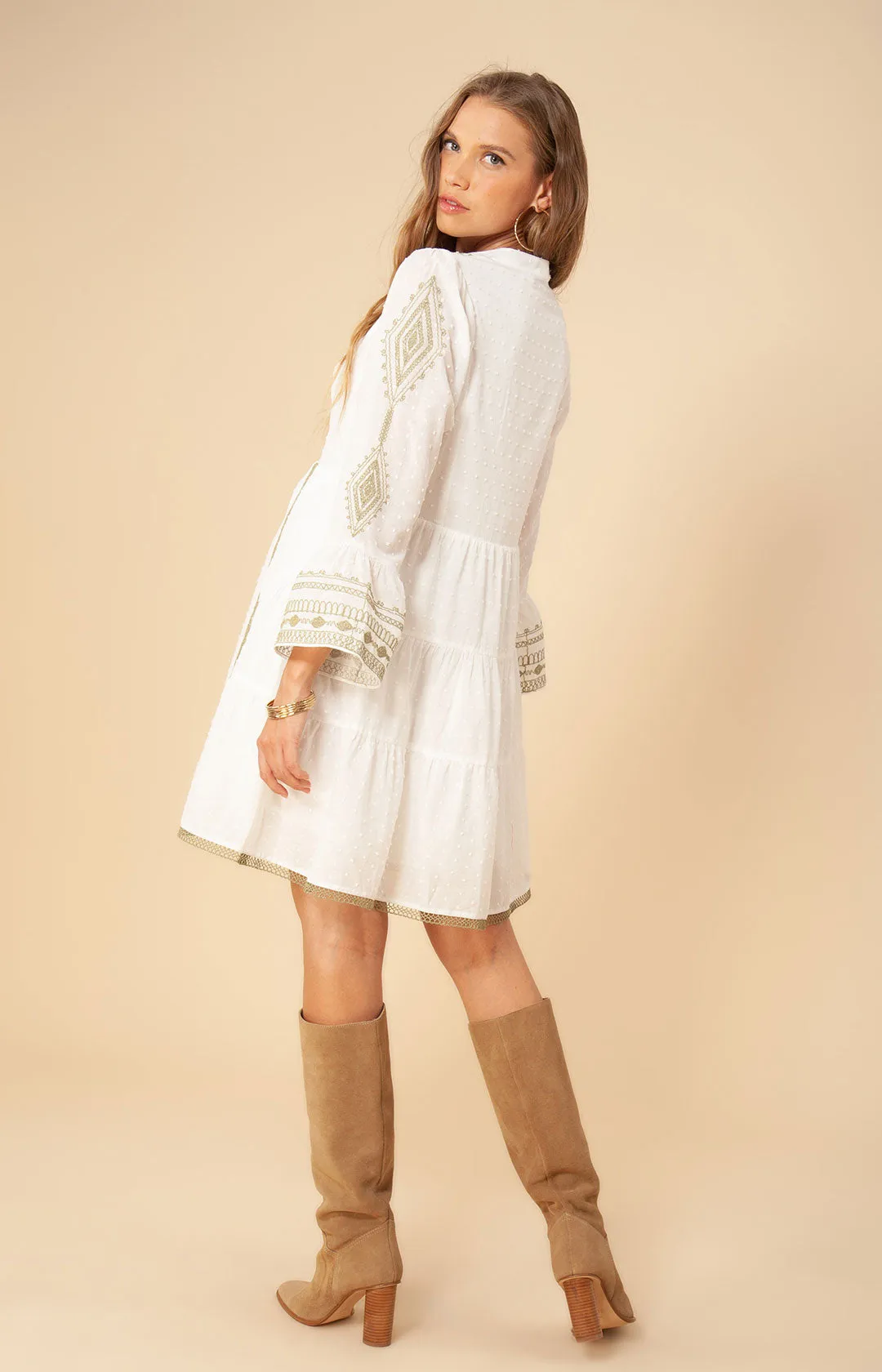 Tasha Embroidered Dress