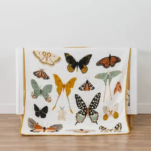 The 4 Layer Quilt - Butterfly Collector